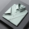 Business shirt, men's short-sleeved, form-fitting, no-iron, stretch solid color men's formal wear, breathable and sweat-absorbing, spring and summer ice silk shirt details Picture